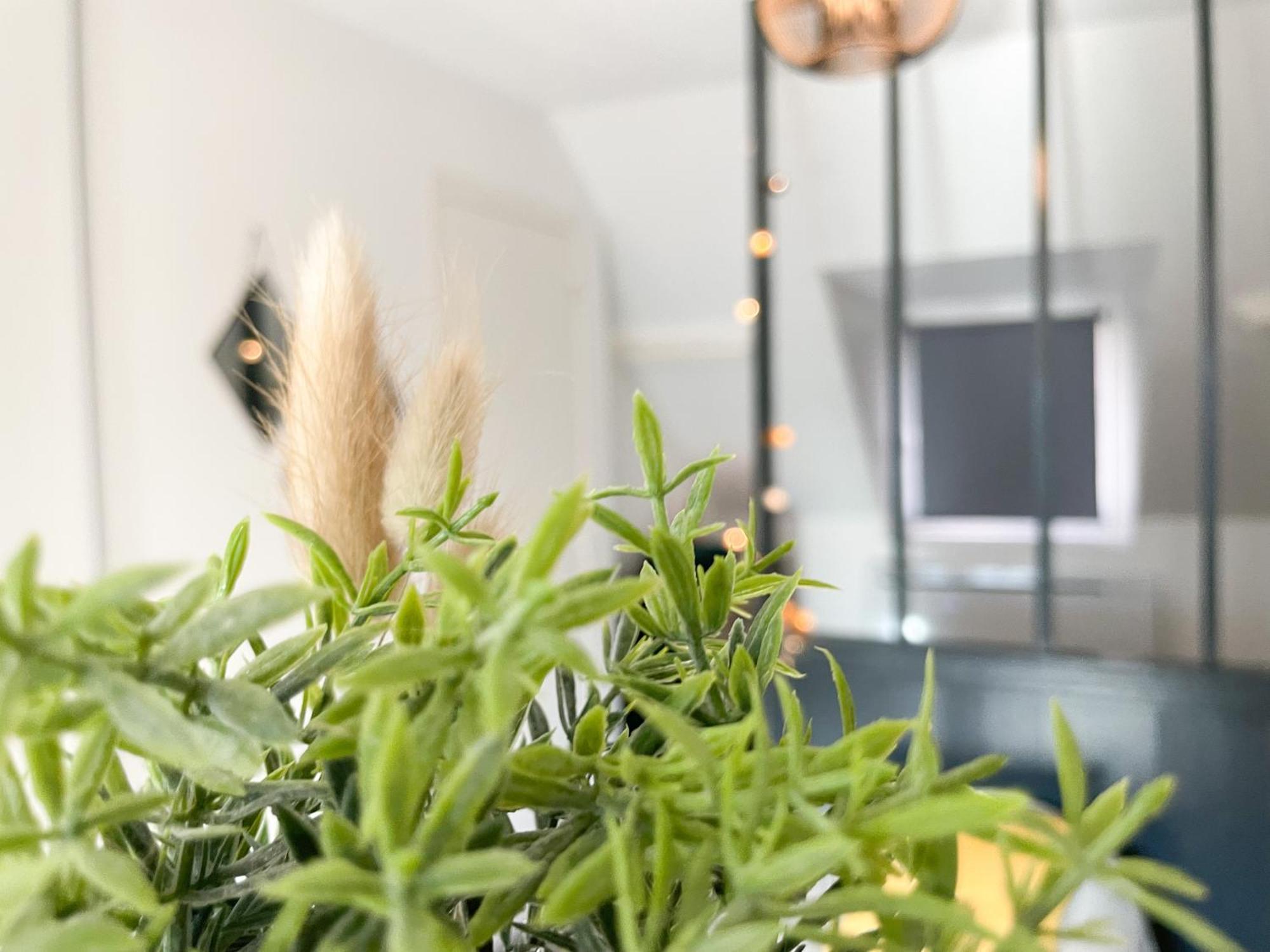 Appartement Le 12 Bis - Cosy à Cherbourg-en-Cotentin Extérieur photo